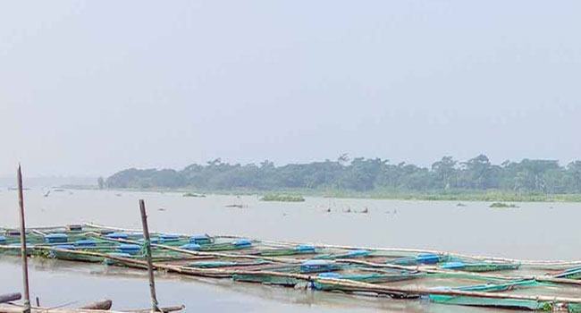 মুলাদীতে মৎস্য চাষের বিপুল সম্ভাবনা