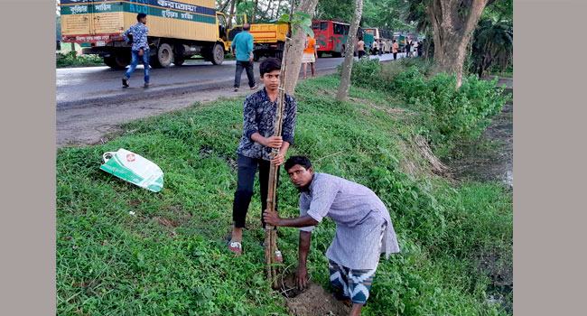 বৃক্ষ প্রেমিক ভ্যানচালক আজগর আলী, নিঃস্বার্থ ভালোবাসার অনন্য দৃষ্টান্ত