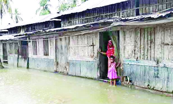 ঘাটাইলে গ্রামীণ সড়কের বেহাল দশা