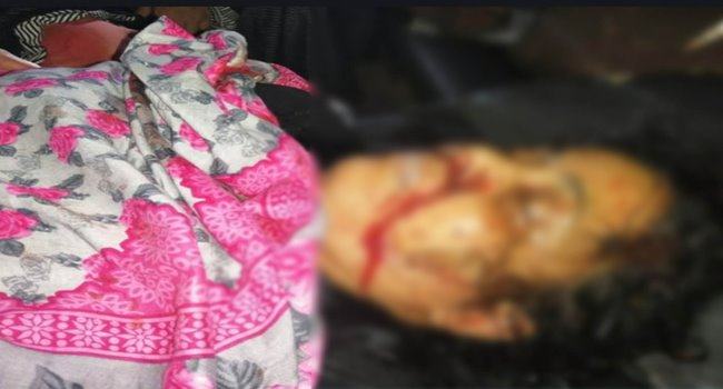 শরণখোলায় সড়ক দুর্ঘটনায় নারীর মৃত্যু