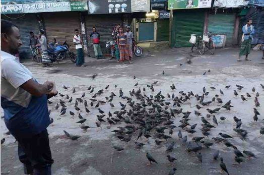 দুই শালিকপ্রেমীর গল্প