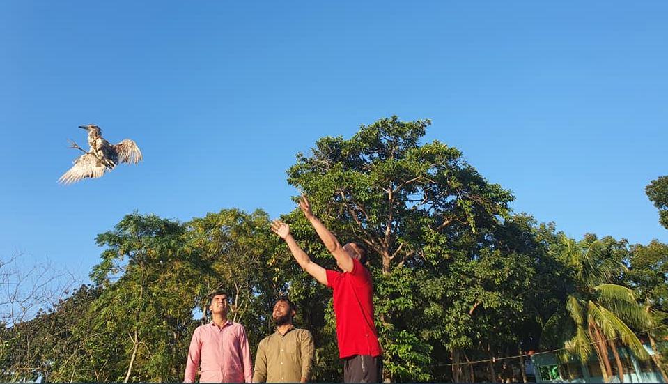 ক্রেতার ছদ্মবেশে ইউএনও’র অভিযান, ২ পাখি বিক্রেতাকে দণ্ড