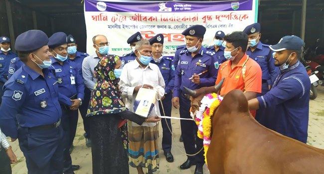 সেই ঘানিটানা দম্পতিকে গরু দিলেন পুলিশ মহাপরিদর্শক