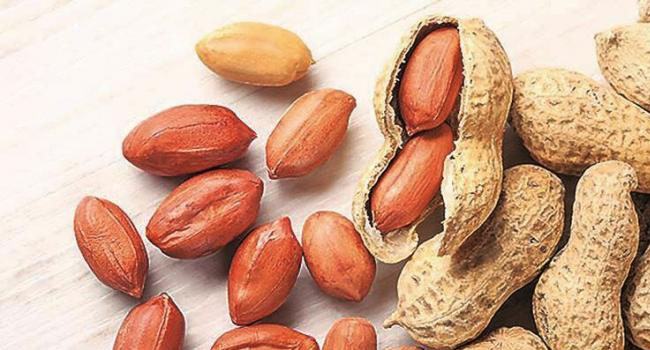 জেনে নিন বাদামের ৯টি উপকারিতা