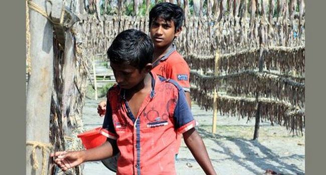 করোনায় অর্থনৈতিক সঙ্কটে উপকূলীয় অঞ্চল, বেড়েছে শিশুশ্রম-বাল্যবিবাহ