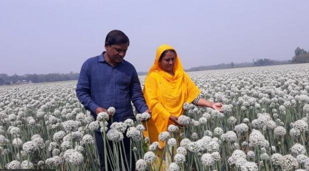 পেঁয়াজের বীজ থেকে কোটি টাকার ব্যবসা