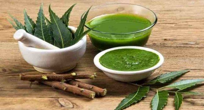 যে গাছগুলোতে রোগ সারানোর ক্ষমতা রয়েছে