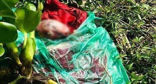 ডোবায় মিলল নবজাতকের লাশ