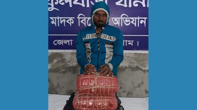 ফুলবাড়ীতে গাঁজাসহ যুবক আটক