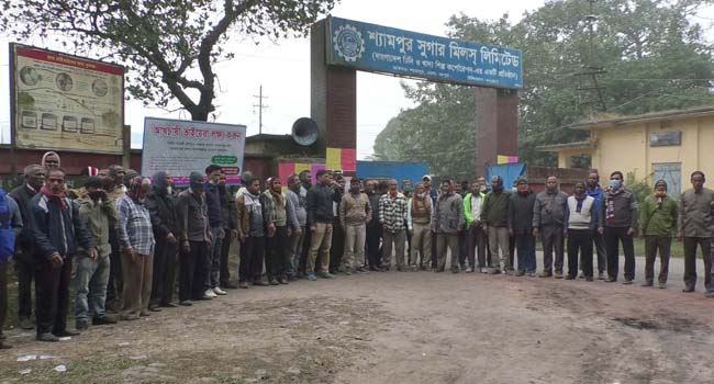 চিনিকল বন্ধের বিরুদ্ধে আন্দোলন স্থগিতে চাপ দেয়ার অভিযোগ