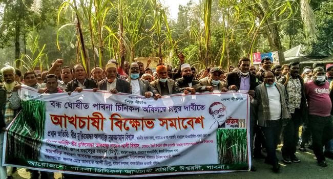 পাবনায় চিনিকল বন্ধের প্রতিবাদে সারাদেশের আখচাষিদের বিক্ষোভ সমাবেশ