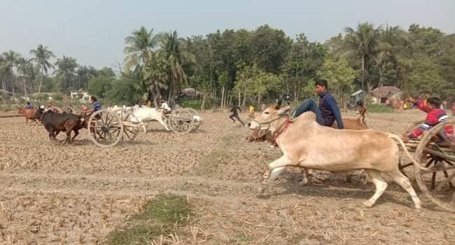 জীবননগরে ঐতিহ্যবাহী গরুর গাড়ি দৌড় প্রতিযোগিতা অনুষ্ঠিত