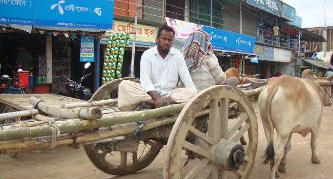 বিলুপ্তির পথে ‘গরুর গাড়ি’
