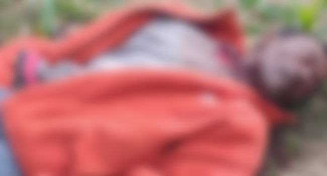 ভুট্টার ক্ষেত থেকে গলা কাটা লাশ উদ্ধার