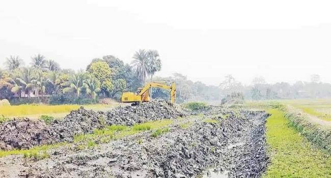 কৃষিজমির মাটি কাটার অভিযোগে যুবকের কারাদণ্ড