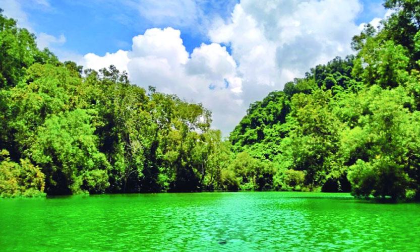 অপরূপ সৌন্দর্যের আরেক নাম বাওয়াছড়া