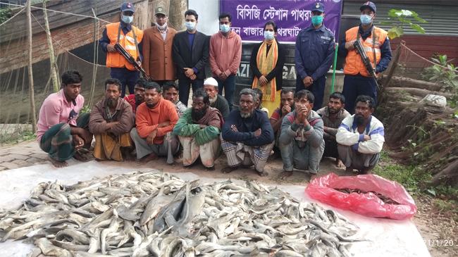 পাথরঘাটায় ৩ শ’ হাঙরসহ আটক ১৩ জেলে
