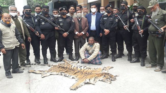 বাঘের চামড়াসহ সুন্দরবনের চোরা শিকারি গ্রেফতার