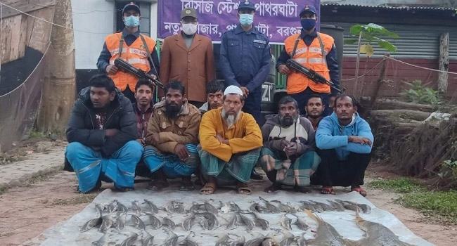 বরগুনায় হাঙরের বাচ্চাসহ ৮ জেলে আটক