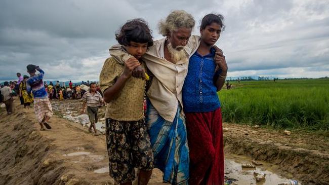 ‘এনভিসি’ কার্ড নিতে রোহিঙ্গাদের নির্যাতন করছে মিয়ানমারের সেনাবাহিনী