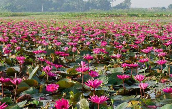পর্যটকদের কাছে এখন জনপ্রিয় যে ৬টি স্পট