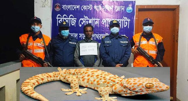 পাথরঘাটায় দুই কোটি টাকার তক্ষকসহ আটক ১