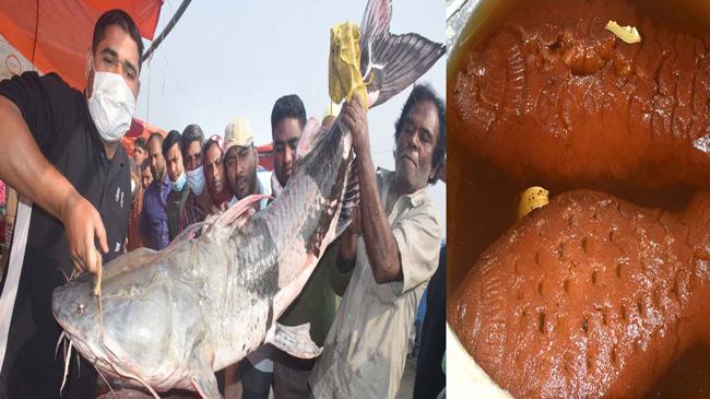 মেলায় ১ মাছের দাম ১ লাখ ৫ হাজার টাকা