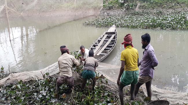 খাল-বিলে মাছ ধরার বিশেষ ফাঁদ