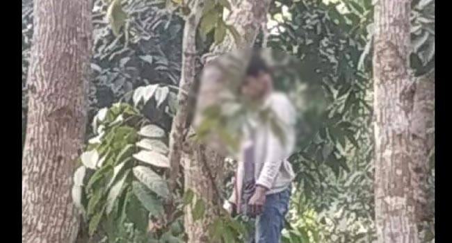গাছ থেকে যুবকের ঝুলন্ত লাশ উদ্ধার
