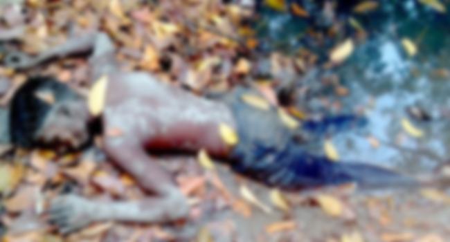 খুলনার ডাকাতিয়া বিল থেকে তরুণের লাশ উদ্ধার