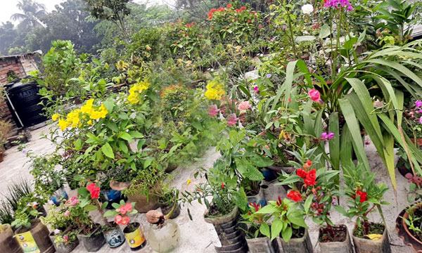 গাছপ্রেমীদের বন্ধু