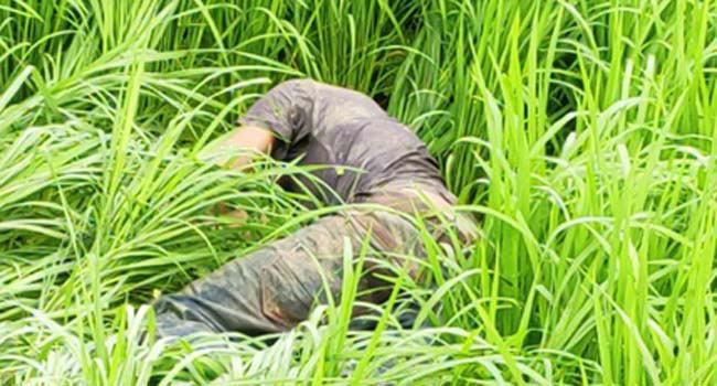 হত্যা মামলার আসামি হাজিরা দিতে গিয়ে খুন