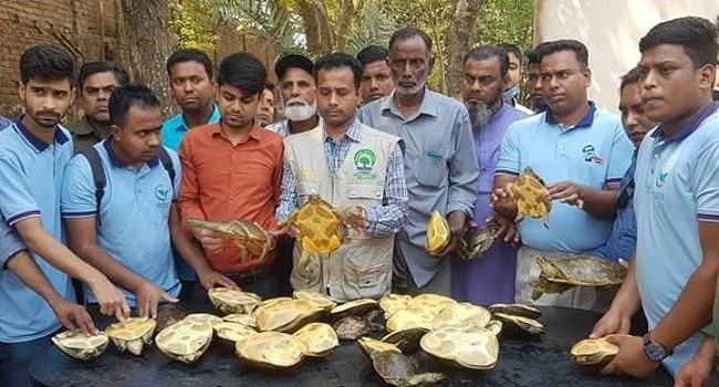 বিদেশে কাছিম পাচারের সময় আটক ২