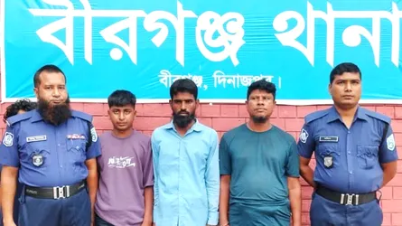 বীরগঞ্জে গোয়ালঘরে মিলল ৫৬ কেজি গাঁজা, গ্রেফতার ৩