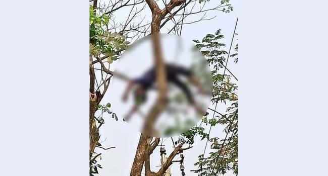 বাঁশখালীতে গাছে মাইক বাঁধতে যুবকের মৃত্যু