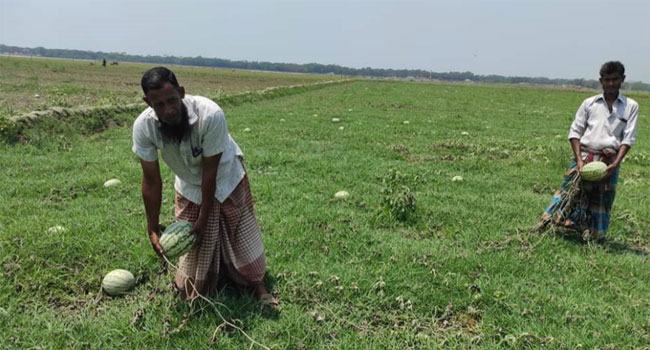 পূর্ণিমার জোয়ারে ভেসে গেল কৃষকের স্বপ্ন
