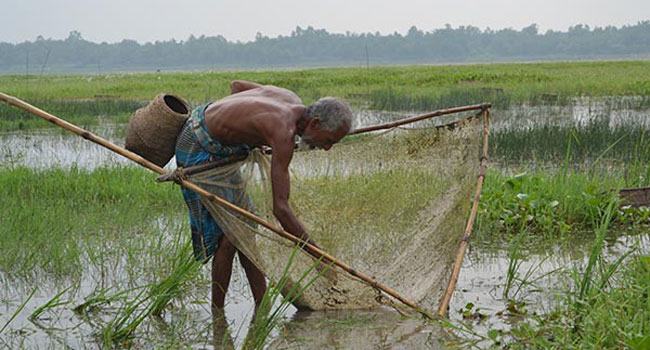 পাল্টে গেছে গ্রামীণ জীবন