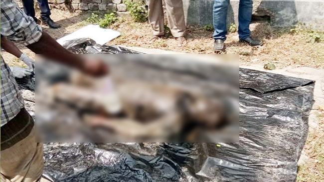 মঠবাড়িয়ায় বালুতে পুতে রাখা যুবকের লাশ উদ্ধার