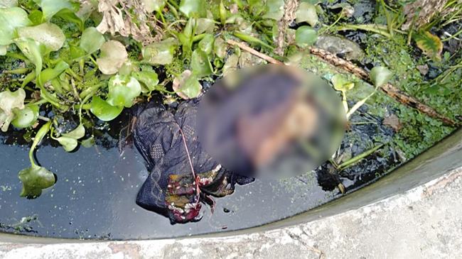 গাজীপুরে যুবকের অর্ধগলিত লাশ উদ্ধার