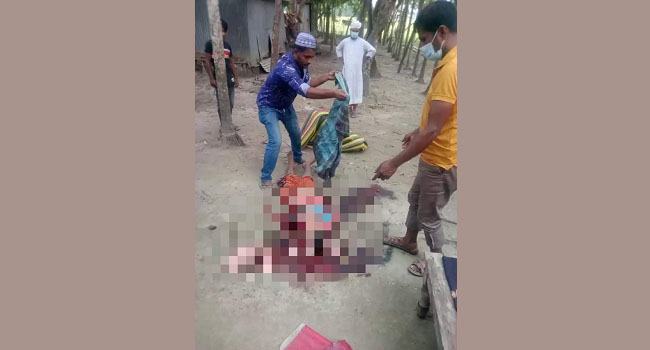 গফরগাঁওয়ে লড়ির চাকায় পিষ্ট হয়ে শিক্ষার্থী নিহত
