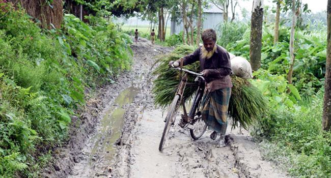 গ্রামীণ অবকাঠামো উন্নয়নেও পরামর্শক