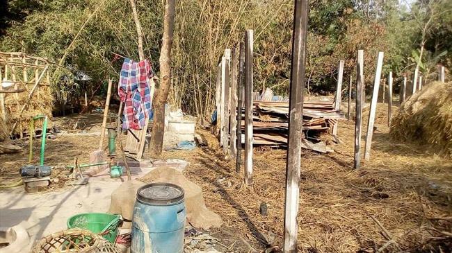 ঠাকুরগাঁওয়ে লিচু গাছে আমের পর অলৌকিক আগুন!