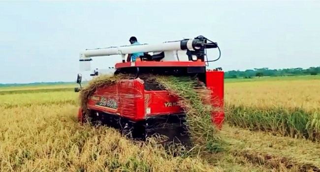 রাঙ্গাবালীতে ৭০ ভাগ ভর্তুকিতে ধানকাটার মেশিন, খুশি কৃষকরা