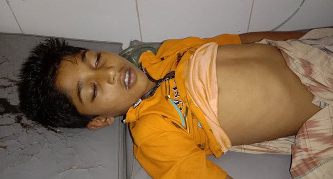 আলমডাঙ্গায় সাপের কামড়ে শিশুর মৃত্যু