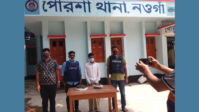 পোরশায় যৌথ অভিযান, গাঁজা ব্যবসায়ী আটক