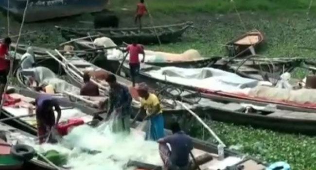 ২ মাস পর মাছ শিকারে পদ্মা-মেঘনায় নামছে জেলেরা