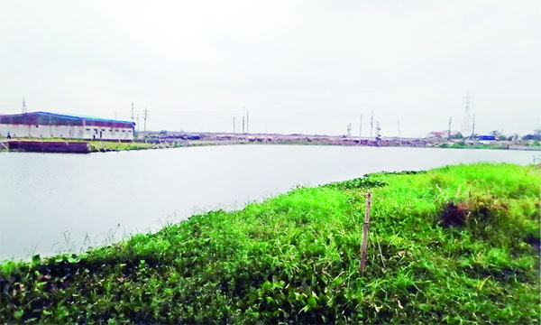ডিএনডি বাঁধেই গিলে খাচ্ছে ফসলি জমি