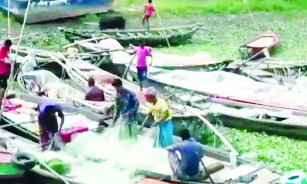 চাঁদপুরের পদ্মা-মেঘনায় আজ থেকে মাছ শিকারে নামছে জেলেরা