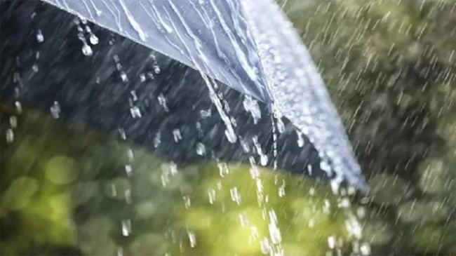 শ্রীমঙ্গলে স্বস্তির বৃষ্টি
