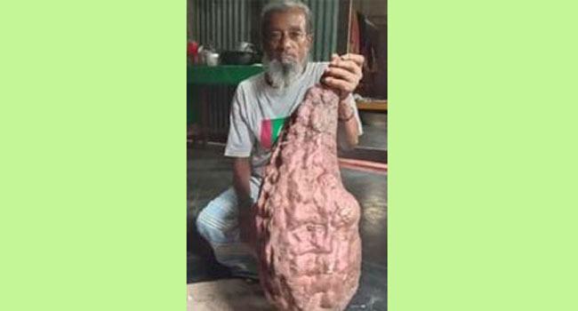এক মিষ্টি আলুর ওজন ১২ কেজি